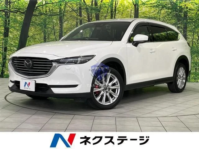 2018 Mazda CX8
