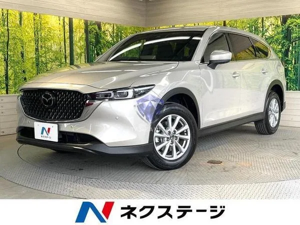 2023 Mazda CX8