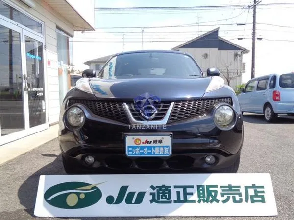 2011 Nissan Juke