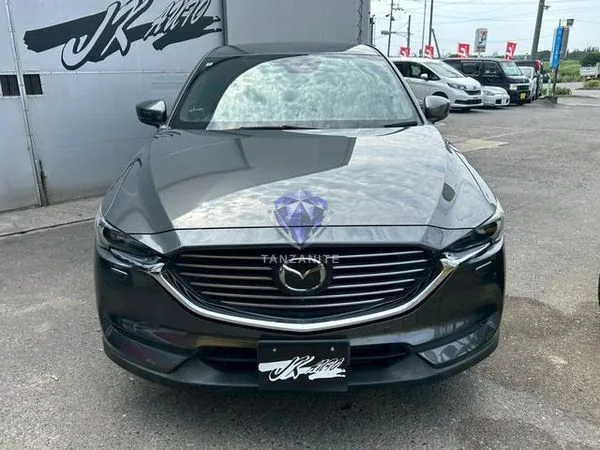 2018 Mazda CX8