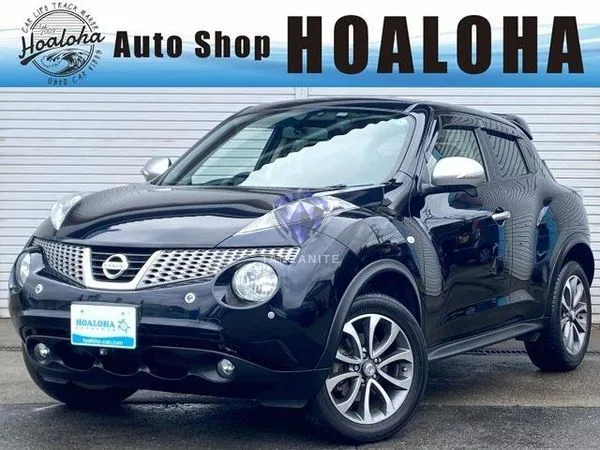 2013 Nissan Juke