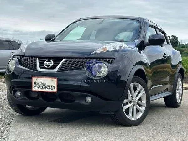 2013 Nissan Juke