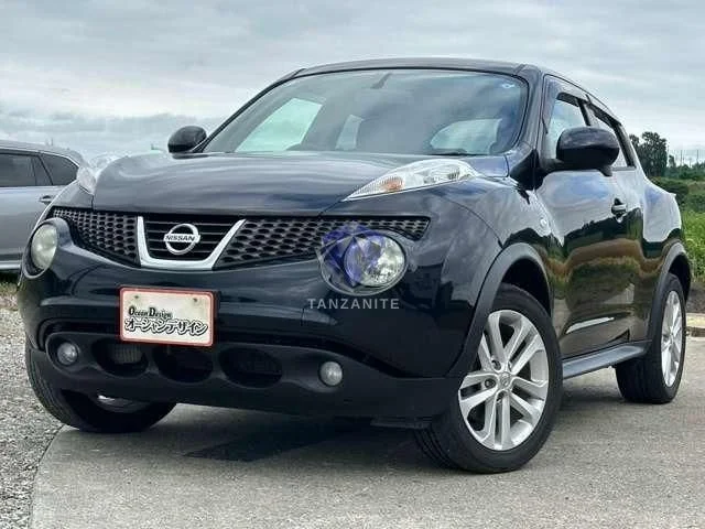 2013 Nissan Juke