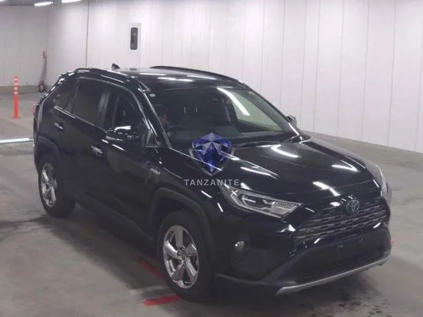2019 Toyota RAV4