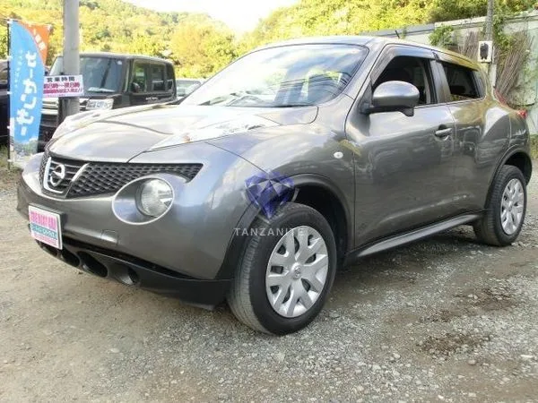 2011 Nissan Juke