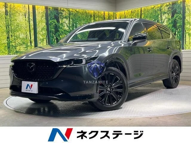 2023 Mazda CX8