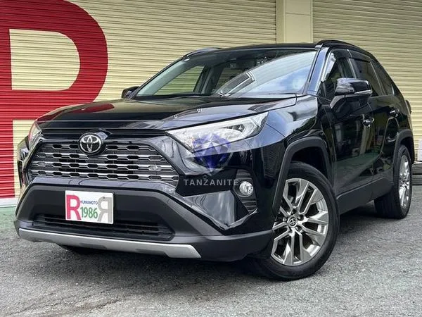 2020 Toyota RAV4