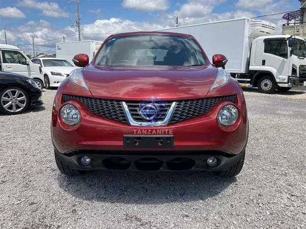 2013 Nissan Juke