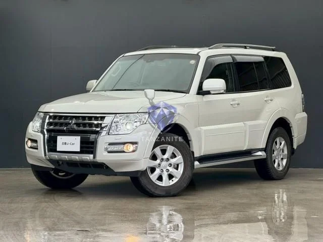 2019 Mitsubishi Pajero
