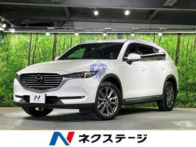 2019 Mazda CX8