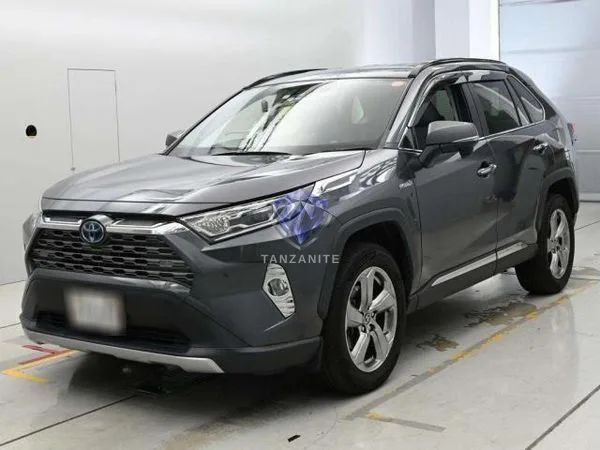2019 Toyota RAV4