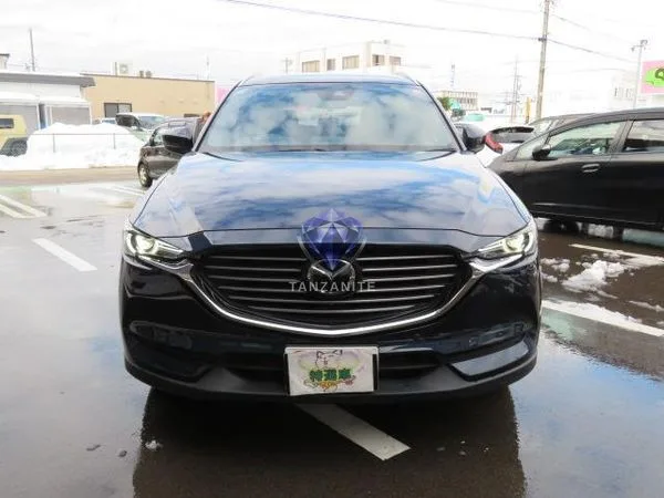 2019 Mazda CX8