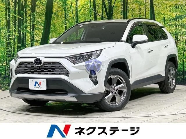 2020 Toyota RAV4