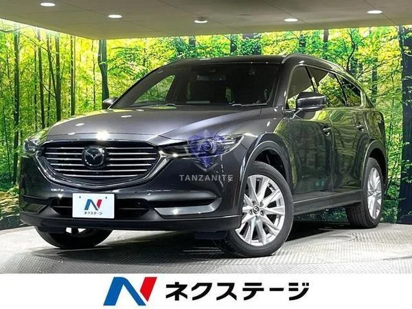 2018 Mazda CX8
