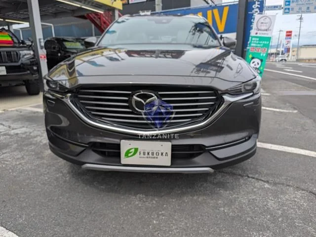 2019 Mazda CX8