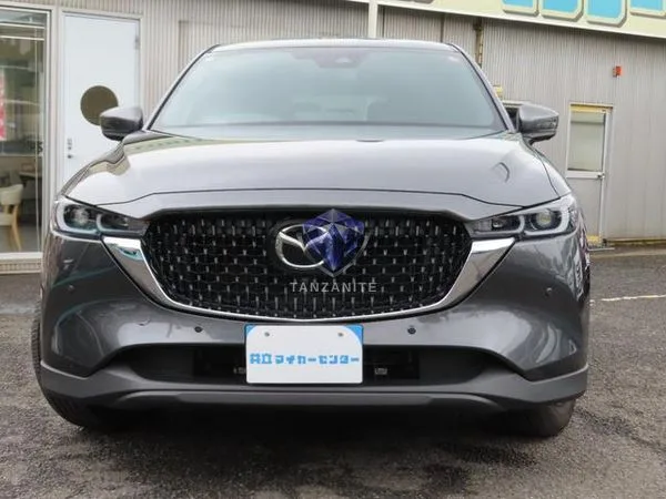 2023 Mazda CX8