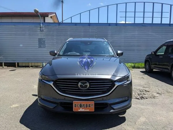 2019 Mazda CX8