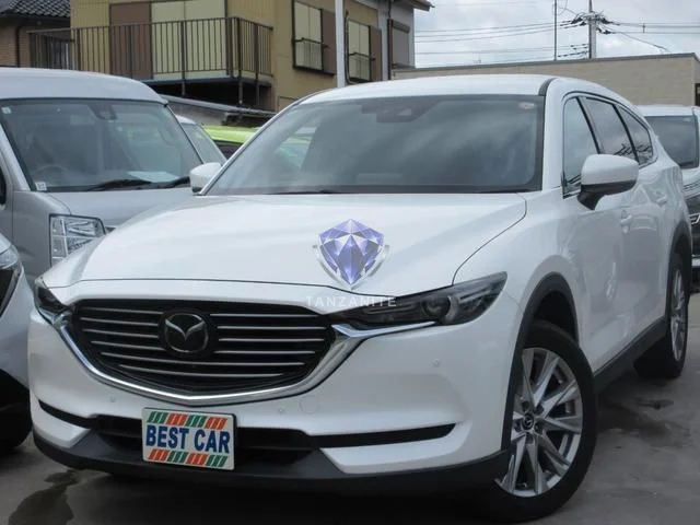 2018 Mazda CX8