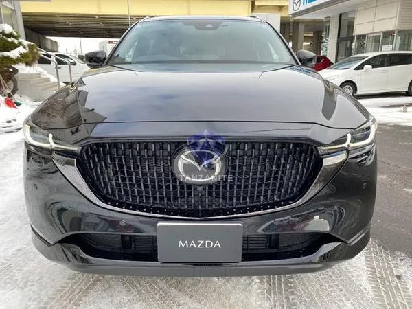 2023 Mazda CX8