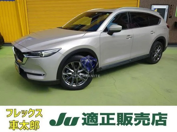 2021 Mazda CX8