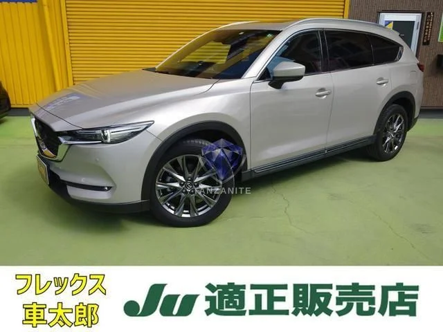 2021 Mazda CX8