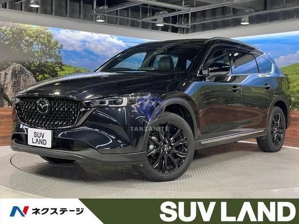 2023 Mazda CX8