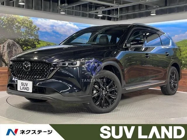 2023 Mazda CX8