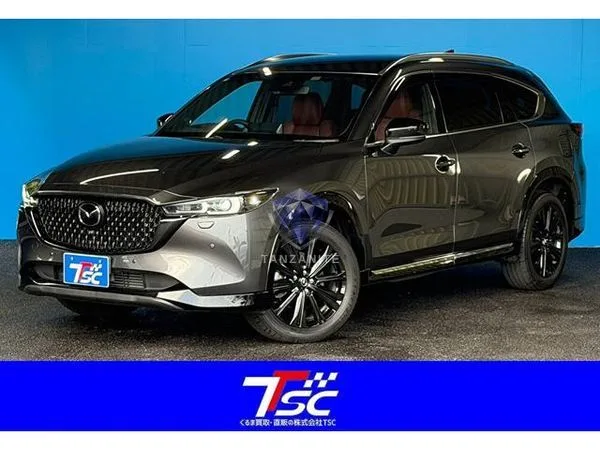 2023 Mazda CX8