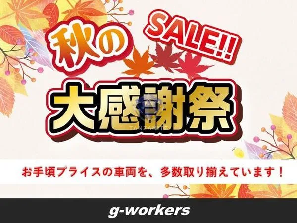 2010 Honda Freed