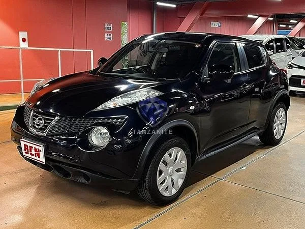 2010 Nissan Juke