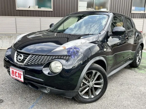 2013 Nissan Juke