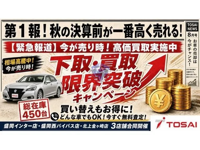 2015 Mitsubishi Pajero