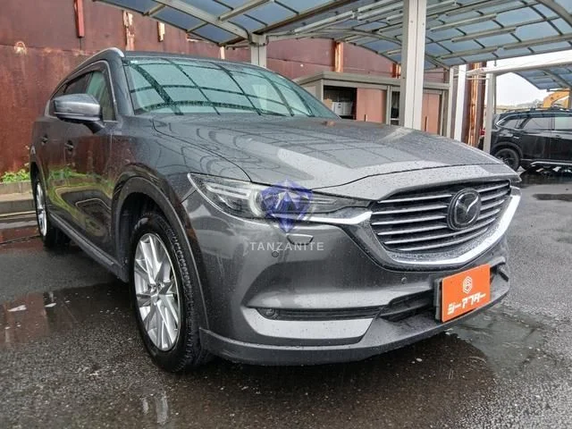 2018 Mazda CX8
