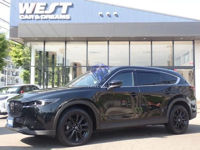 2024 Mazda CX8