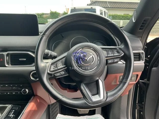2021 Mazda CX8