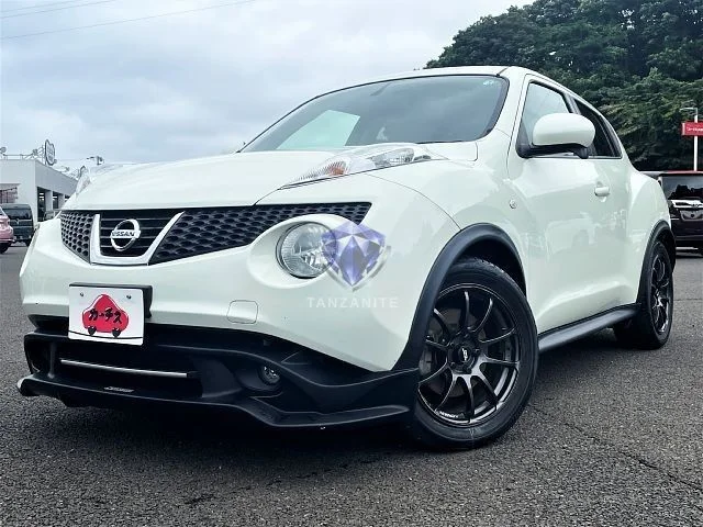 2011 Nissan Juke