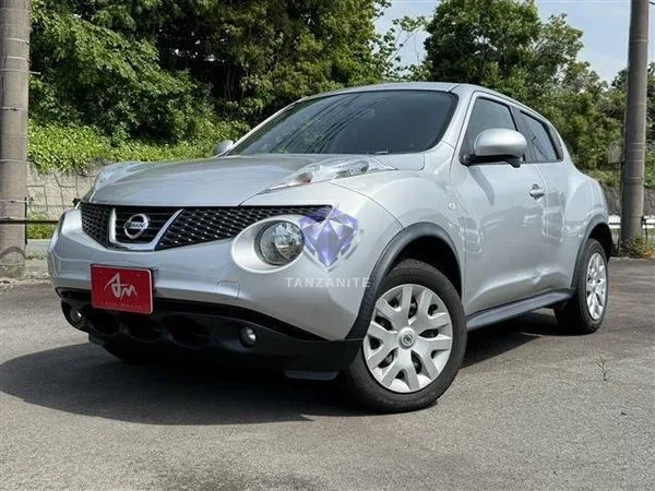 2013 Nissan Juke