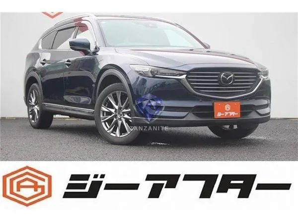 2019 Mazda CX8