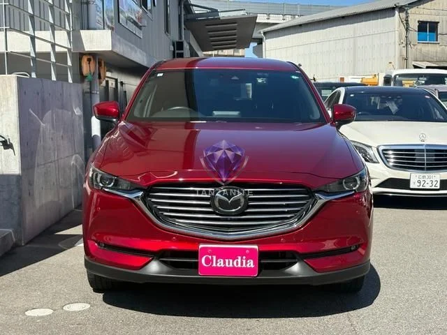 2019 Mazda CX8