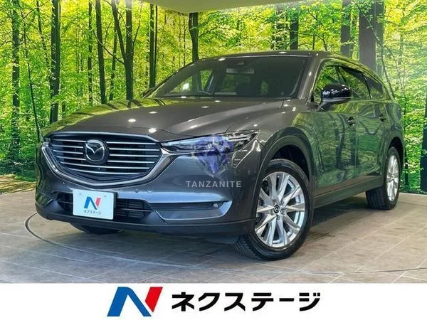 2017 Mazda CX8