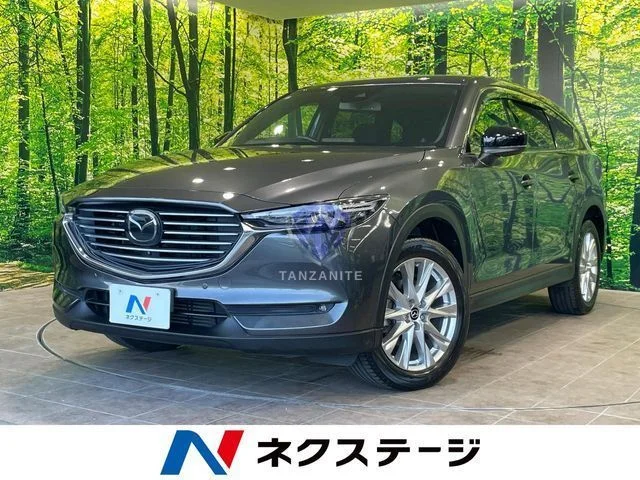 2017 Mazda CX8
