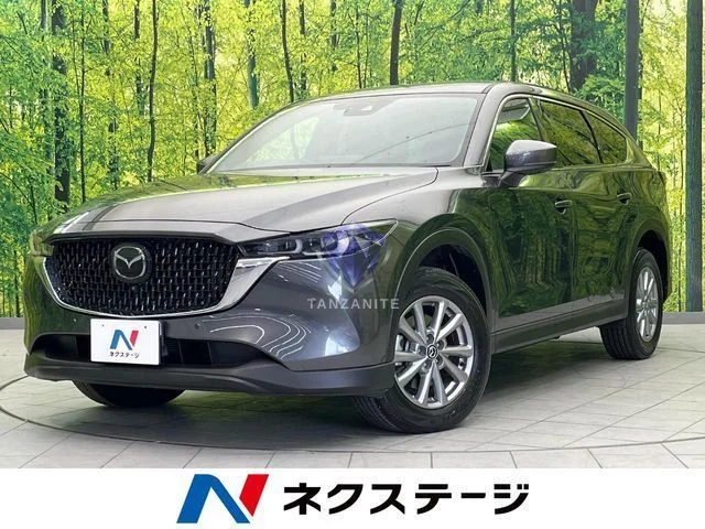 2023 Mazda CX8