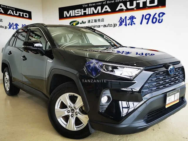 2019 Toyota RAV4
