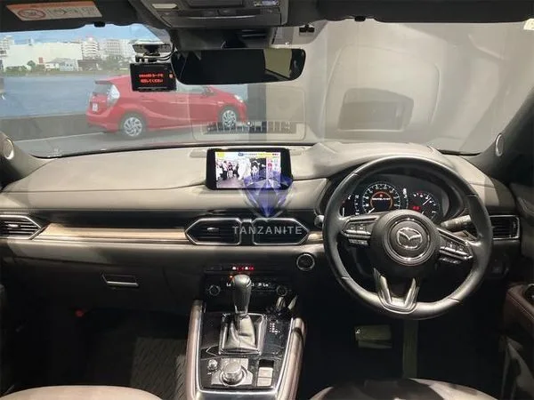 2019 Mazda CX8