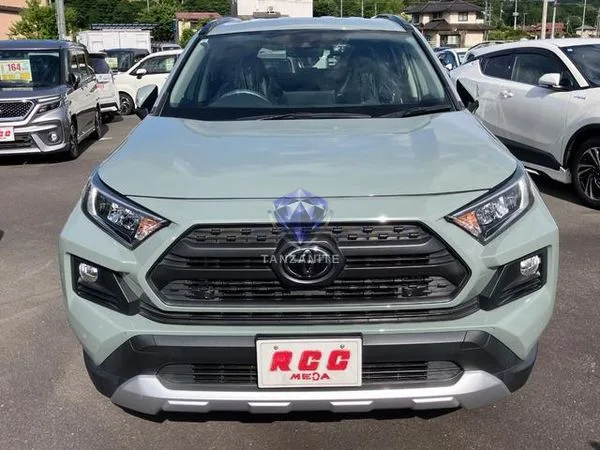 2019 Toyota RAV4