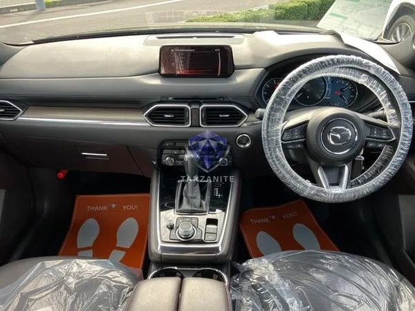 2019 Mazda CX8