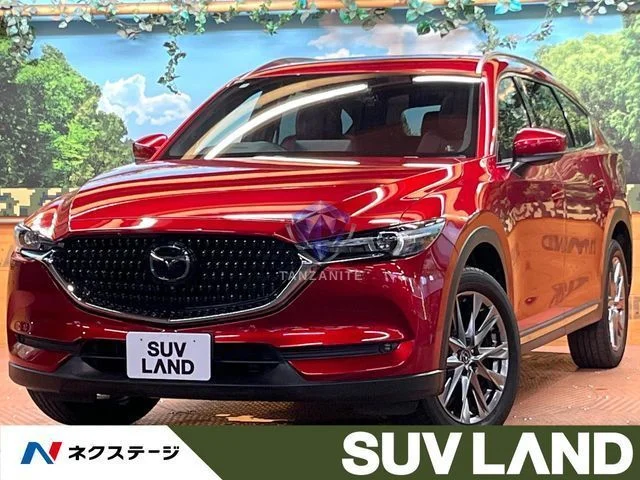 2022 Mazda CX8