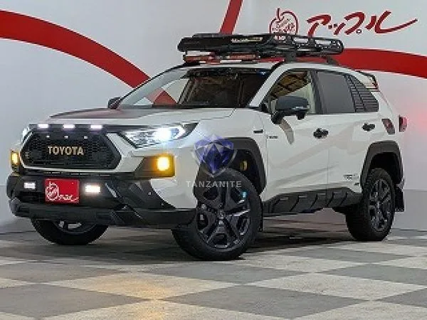 2019 Toyota RAV4