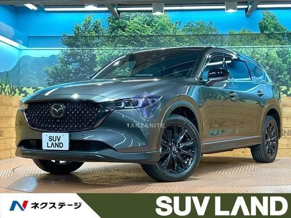 2023 Mazda CX8