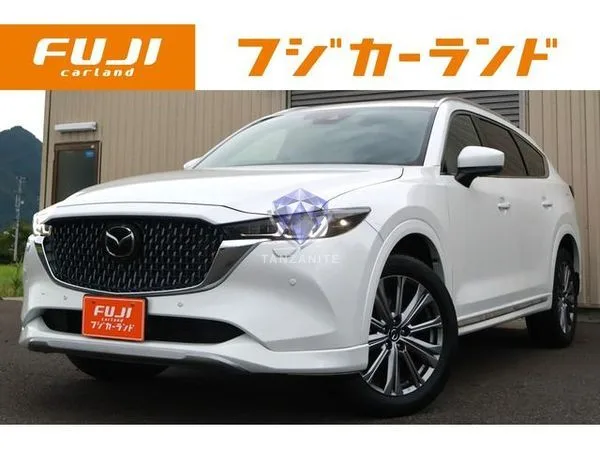 2023 Mazda CX8